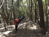 trekking-conero-pineta