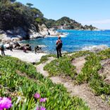 Trek all'Isola d'Elba: un giardino favoloso nel mezzo del Tirreno!