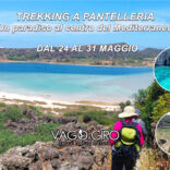 Pantelleria: un paradiso in mezzo al Mediterraneo 24-31 maggio - € 840,00