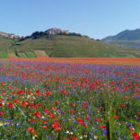 Fioritura, trekking, softrafting, bike e relax nel Parco Nazionale dei Monti Sibillini!